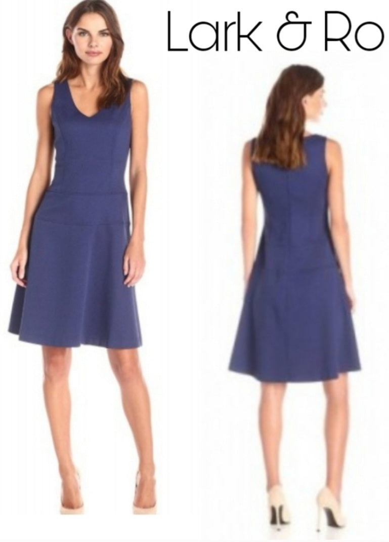 Lark & Ro Sleeveless Fit/Flare Dress. plus sz 16-