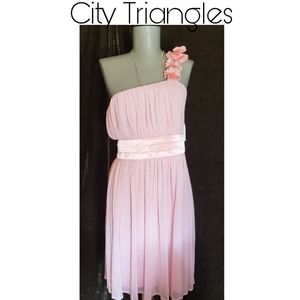 City Triangles pink one shoulder dress. Plus sz 2x