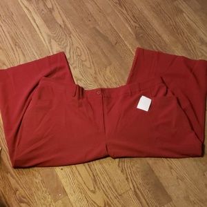 Chelsea Studio wine colored crop pants. Size 28wp