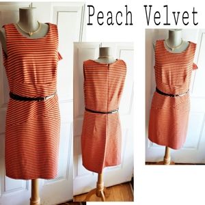 Peach Velvet striped sheath belted dress. Sz 10