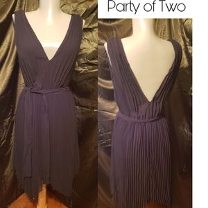 Party of Two micro pleat deep V neck/back dress