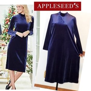 Appleseed's blue velvet mock neck dress