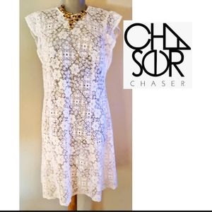 Chaser lace flounce sleeve dress.  Sz Med. 😍